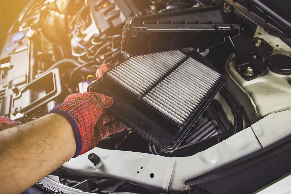 Understanding Filters and Fluids: The Basics of Auto Maintenance